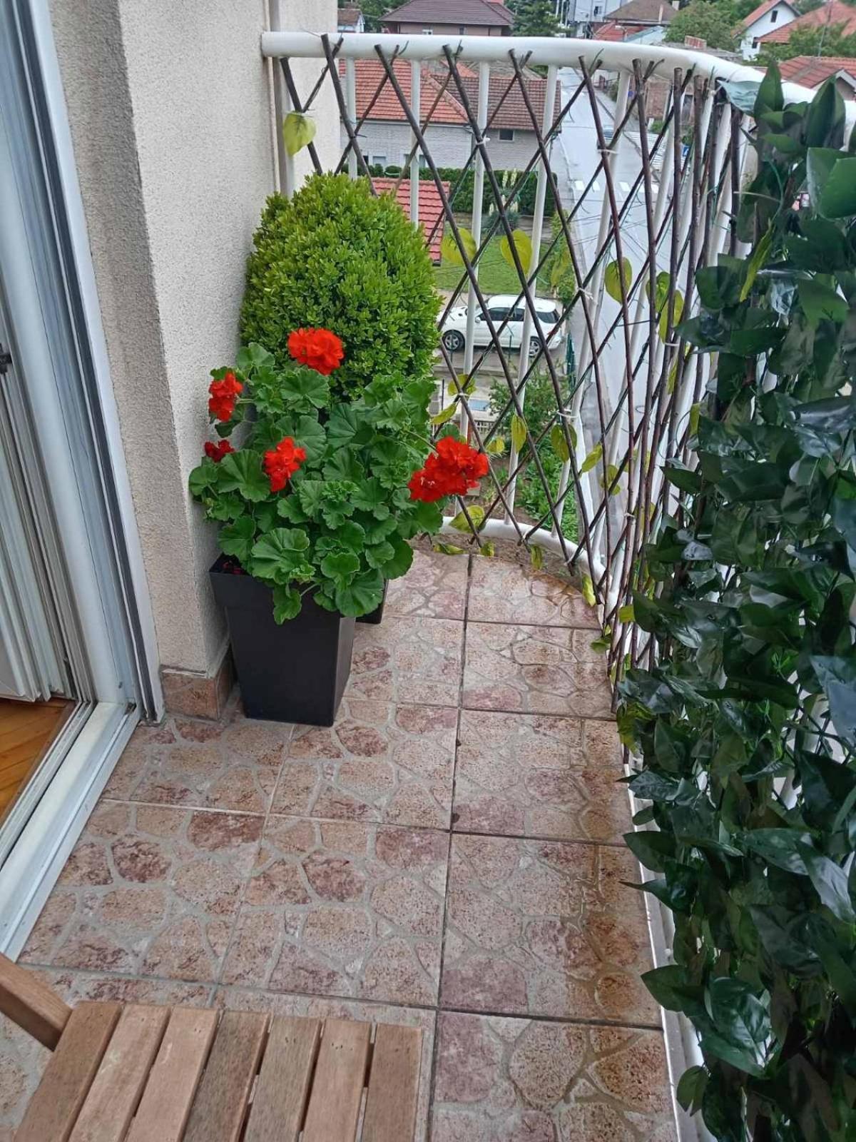 Apartman Centar Požarevac Exterior foto